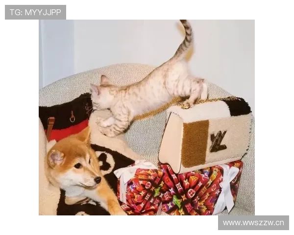 何卓佳训练完直接拎爱马仕去吃火锅？